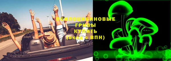 гидра Горняк