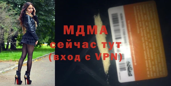 гидра Горняк