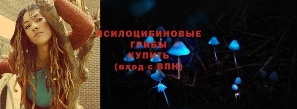дмт Горно-Алтайск