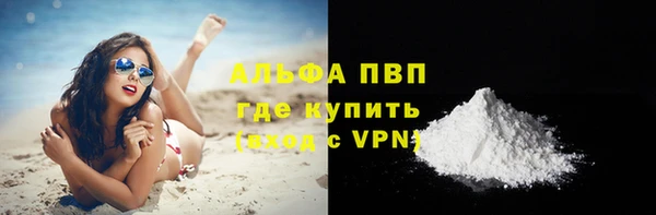 гидра Горняк