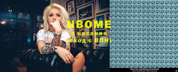 гидра Горняк