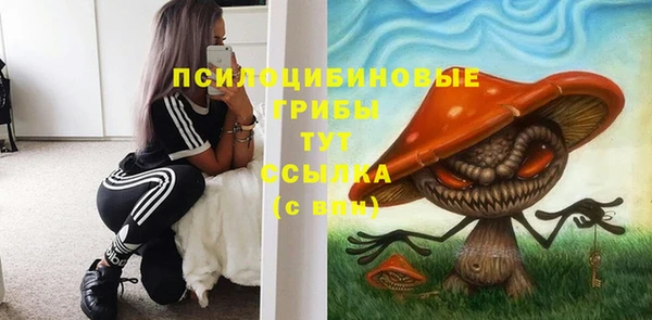 дмт Горно-Алтайск