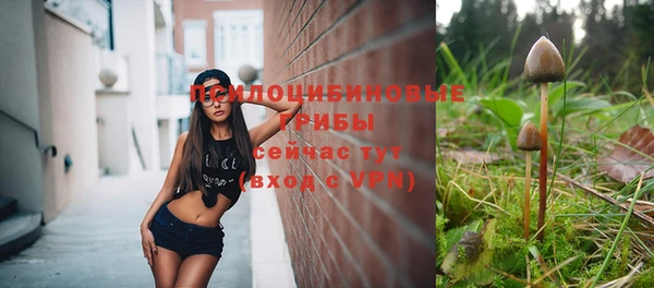 винт Горнозаводск