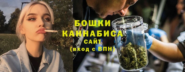 дмт Горно-Алтайск