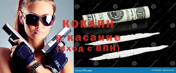 гидра Горняк