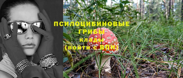 гидра Горняк